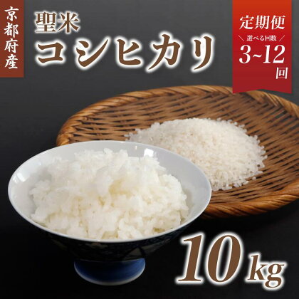 《選べるお届け回数》【定期便】京都府産コシヒカリ「聖米」白米10kg （ 3回 / 6回 / 12回 ）【 お米 米 白米 精米 こしひかり 国産 選べる 定期便 毎月発送 京都 綾部 】