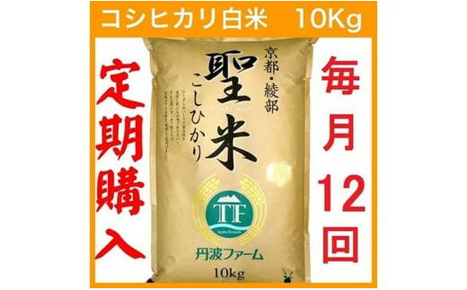 人気ランキング第38位「京都府綾部市」口コミ数「0件」評価「0」【定期便12回】【毎月1日お届け】京都府産コシヒカリ 白米 120kg(10kg×12回) 定期便 お米 米 白米 精米 こしひかり 国産 京都 綾部【送料無料】