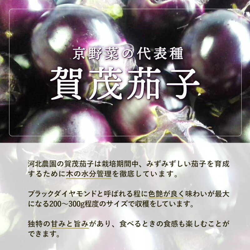 【ふるさと納税】【先行予約・配送月が選べる】賀茂茄子 6個 1.5kg 【 国産 京野菜 旬 季節の野菜 季節限定 野菜 茄子 なす ナス かもなす 賀茂なす 丹州 農家直送 産地直送 京ブランド野菜 綾部 京都 】