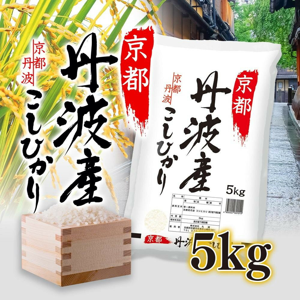 丹波産 こしひかり 5kg 【 京都 綾部 お米 コメ 5キロ 精米 白米 こしひかり コシヒカリ 米 丹波 】