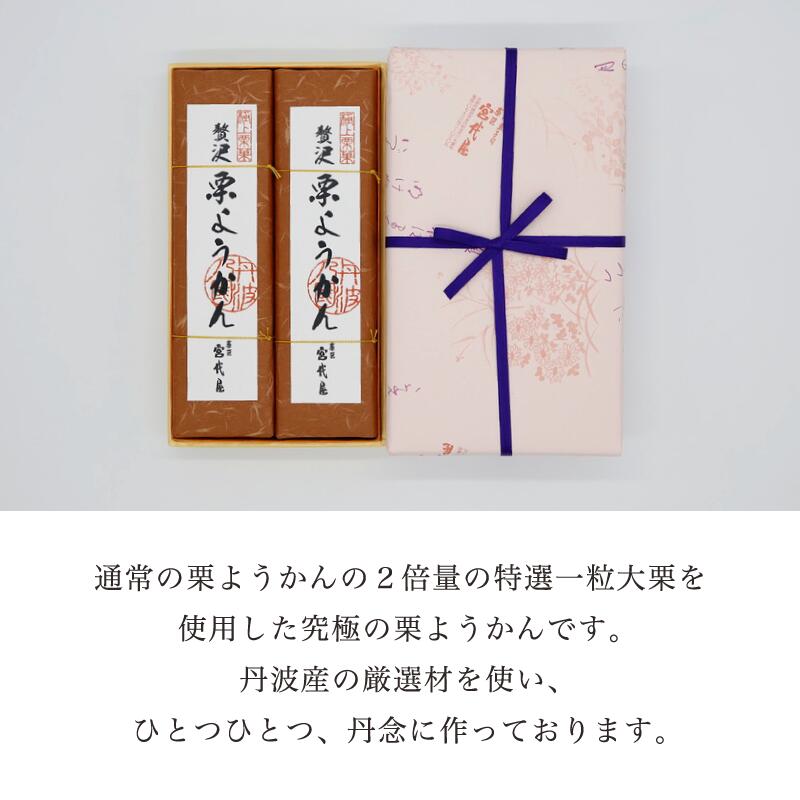 【ふるさと納税】【先行予約】贅沢 栗ようかん2本入り 【 京都 綾部 和菓子 贈り物 贈答 プレゼント ギフト 手作り 栗 くり 大栗 小豆 こしあん 銀寄栗 羊羹 プレゼント 丹波 スイーツ 栗羊羹 】