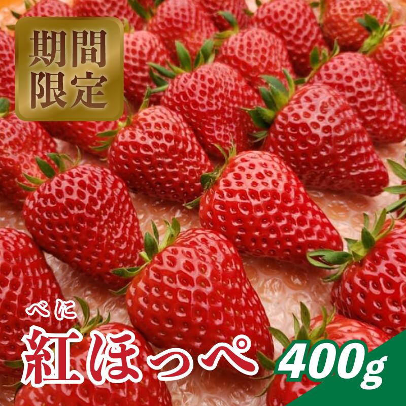【ふるさと納税】先行予約 いちご 紅ほっぺ 400g（9～12粒）べにほっぺ イチゴ 苺 フルーツ 果物 農家直送 国産 贈答 贈り物 プレゼント お土産 綾部 京都のサムネイル