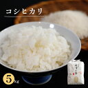 【ふるさと納税】減農薬コシヒカリ 精米 5kg 【 米 コシヒカリ こしひかり 5キロ 精米 白米 こめ コメ お米 おこめ 農家直送 綾部 京都 】