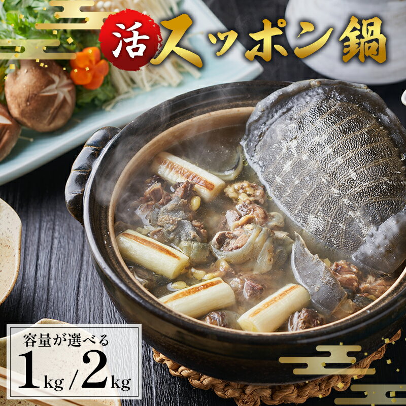 [配送月・容量が選べる]綾部で育てた!!スッポン鍋 約1kg / 約2kg 国産 活スッポン 健康 スッポン スッポン鍋 スッポン鍋セット すっぽん 1キロ 2キロ 鍋 滋養強壮 コラーゲン 京都 綾部 京都府 綾部市