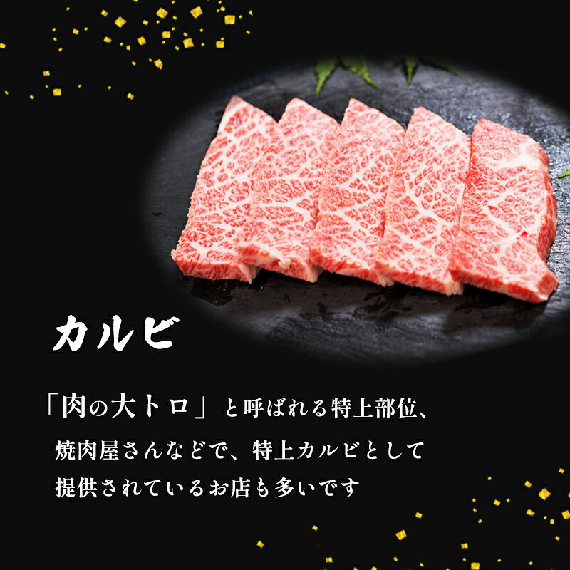 京都府綾部市の画像2