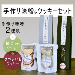 【ふるさと納税】綾部産の食材を使った 手作りみそ 2種 ＆ クッキー2種 セット 【 手作り みそ 麹漬 味噌 焼き菓子 詰め合わせ セット 贈り物 贈答 化粧箱 プレゼント 特産品 国産 おすすめ 京都 綾部 】