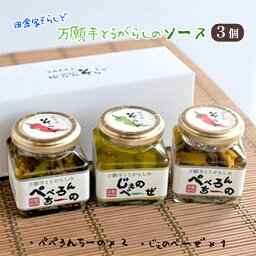 【ふるさと納税】京野菜おかずソース ギフト3個専用BOX入り （ 万願寺とうがらしのぺぺろんちーの 2個 / 万願寺とうがらしのじぇのべーぜ 1個 ）【 京野菜 万願寺とうがらし ペペロンチーノ ジェノベーゼ 内祝い お中元 お歳暮 プレゼント 贈答 贈り物 ギフト 京野 綾部 】