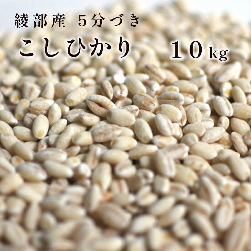 綾部産 コシヒカリ 10kg 5分づき 精米 国産 京都府産 綾部 こしひかり 【送料無料】