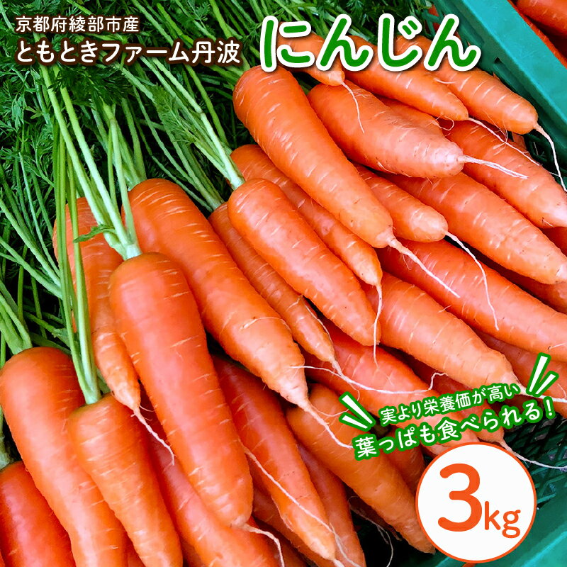 丸かじりできる!甘い にんじん (約3kg/5kg) [発送時期:6月中頃〜7月] 丸かじり 甘い 人参 安心 安全 季節の野菜 新鮮 農薬不使用 フルーティ 京都 綾部 農家直送 5kg ジュース 緑黄色野菜 野菜 美肌 美白 5キロ 葉 葉っぱ 葉付き 丸ごと 国産 無農薬