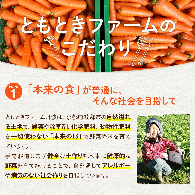 【ふるさと納税】季節の野菜セットL 6〜10種類（約6kg）【 国産 旬 季節の野菜 詰め合わせ セット 農薬不使用 無農薬 産地直送 京野菜 京都 綾部 】