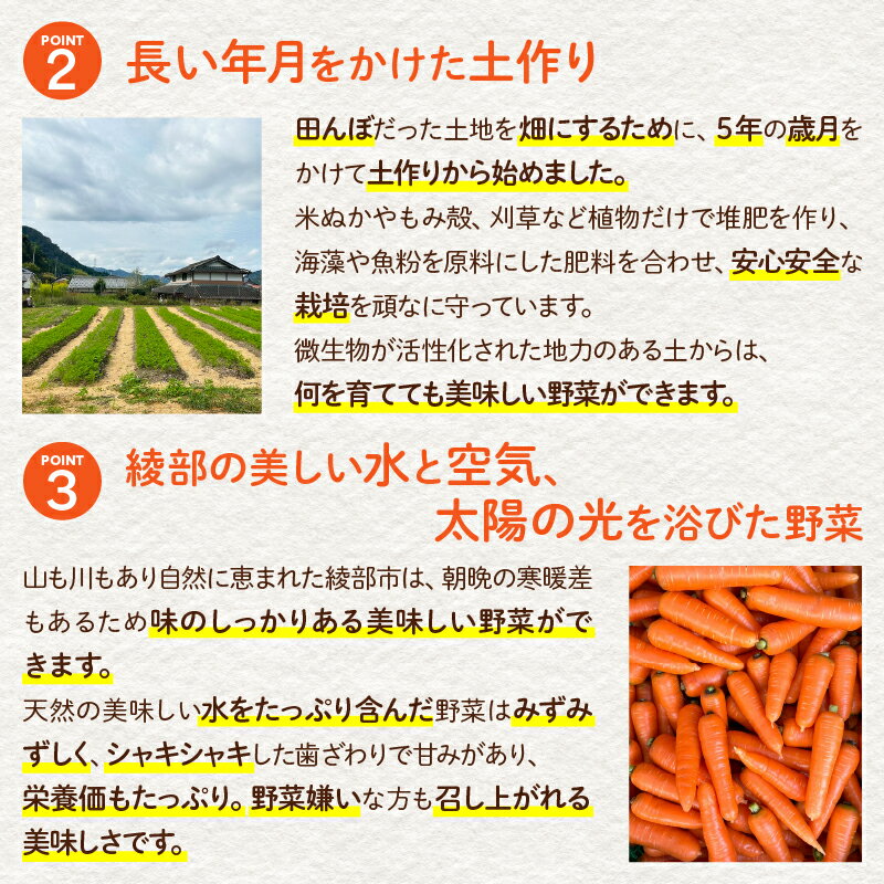 【ふるさと納税】季節の野菜セットL 6〜10種類（約6kg）【 国産 旬 季節の野菜 詰め合わせ セット 農薬不使用 無農薬 産地直送 京野菜 京都 綾部 】