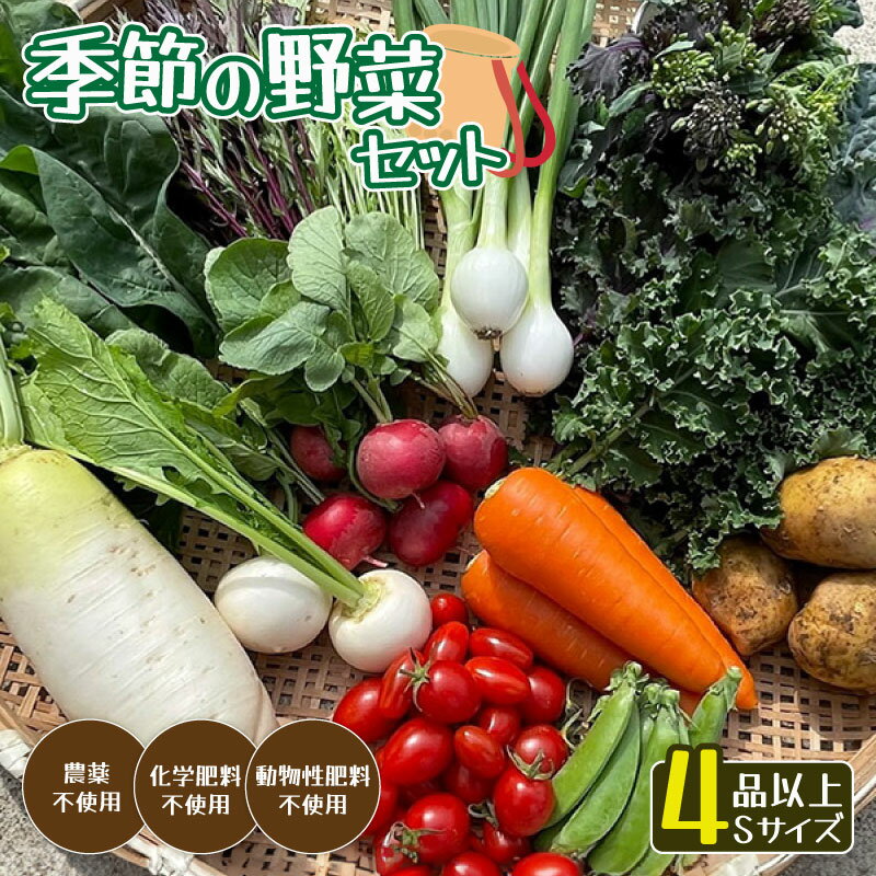 季節の野菜セットS 4〜6種類(約2kg)[ 国産 旬 季節の野菜 詰め合わせ セット 農薬不使用 無農薬 産地直送 京野菜 京都 綾部 ]