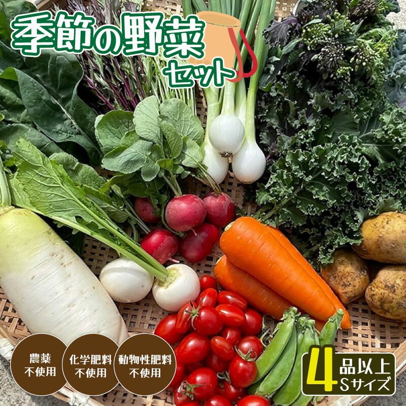 季節の野菜セットS(約2kg) [ 国産 旬 季節の野菜 詰め合わせ セット 農薬不使用 無農薬 産地直送 京野菜 京都 綾部 ]