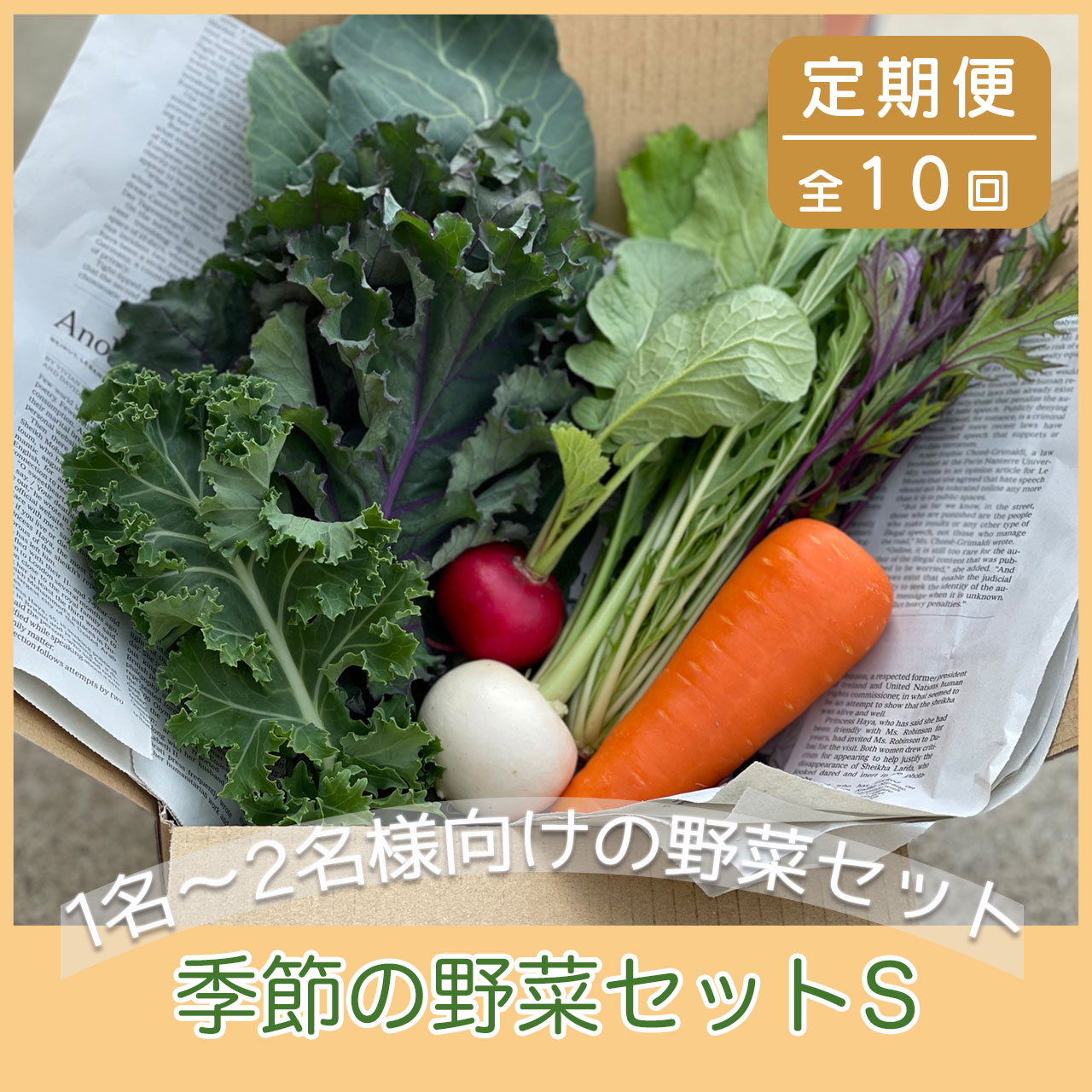 【ふるさと納税】【10ヶ月定期便】季節の野菜セットS（1〜2名様分）定期便 季節の野菜 農薬不使用 無農薬 新鮮 野菜 セット 詰め合わせ 京都 綾部 農家直送【送料無料】