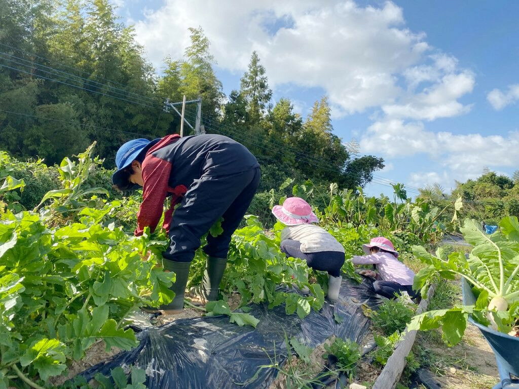 【ふるさと納税】【農業体験（1名様）】無農薬野菜のプロフェッショナルと一緒に、楽しく充実のひと時を共に過ごしましょう！【 体験 農業体験 畑 無農薬 野菜 収穫 畑 農園 京都 綾部 】 f262030-ayabe-10000924 京都府綾部市 サンプル画像2