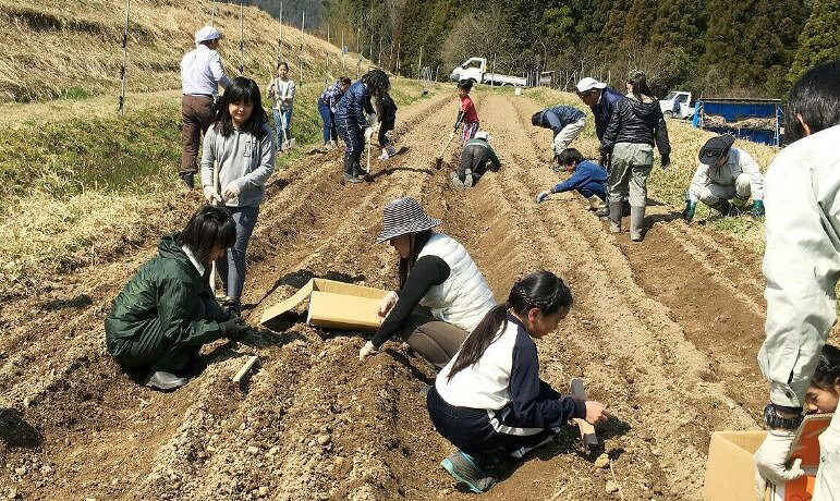 【ふるさと納税】【農業体験（1名様）】無農薬野菜のプロフェッショナルと一緒に、楽しく充実のひと時を共に過ごしましょう！【 体験 農業体験 畑 無農薬 野菜 収穫 畑 農園 京都 綾部 】 f262030-ayabe-10000924 京都府綾部市 サンプル画像3