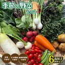 化学肥料・動物性肥料・農薬を一切使用せずに育てたこだわりの野菜です。 栄養満点の旬の野菜を詰め合わせたセットを、ご自宅までお届けします。 収穫は直送ならではのベストタイミングに気を配っています。 3〜4名様分のお野菜です。 お送りするお野菜のレシピ付き！ 例【1月の野菜セット】 ・ケール ・にんじん ・サボイキャベツ ・小松菜 ・ラディッシュ ・水菜 ・大根 ・菊芋 内容は一例です。季節によって異なります。 また、天候などにより種類が変わる可能性もあります。 季節により提携有機農家さんの野菜が一部入ります。 ※写真はイメージです。 ＊発送可能月 1月・2月・6月・7月・10月・11月・12月 〜ともときファームとは〜 【「本来の食」が普通に、そんな社会を目指して】 ともときファーム丹波は、京都府綾部市の自然溢れる土地で、農薬や除草剤、化学肥料、動物性肥料を一切使わない「本来の形」で野菜や米を育てています。 手間暇惜しまず健全な土作りを基本に健康的な野菜を育て続けることで、食を通してアレルギーや病気のない社会作りを目指しています。 【長い年月をかけた土作り】 田んぼだった土地を畑にするために、5年の歳月をかけて土作りから始めました。 米ぬかやもみ殻、刈草など植物だけで堆肥を作り、海藻や魚粉を原料にした肥料を合わせ、安心安全な栽培を頑なに守っています。 微生物が活性化された地力のある土からは、何を育てても美味しい野菜ができます。 【綾部の美しい水と空気、太陽の光を浴びた野菜】 山も川もあり自然に恵まれた綾部市は、朝晩の寒暖差もあるため味のしっかりある美味しい野菜ができます。 天然の美味しい水をたっぷり含んだ野菜はみずみずしく、シャキシャキした歯ざわりで甘みがあり、栄養価もたっぷり。野菜嫌いな方も召し上がれる美味しさです。 【共に時を過ごす仲間】 ともときファーム丹波の「ともとき」とは「共に時を過ごせたらいいね」という意味。みんなで作るからこそ、野菜はさらに美味しくなるのです。 週末の農作業には各地から仲間が集まって、いつも笑顔で溢れています。 安心で安全な自然野菜を丹波からお届けします。 季節の野菜セットM 内容量 3〜4名様分 綾部産　栽培期間農薬不使用（除草剤・化学肥料・動物性肥料も不使用） 賞味期限 7日（野菜の劣化や栄養価の低下を防ぐため、到着後は冷蔵庫で保存してください。） 保存方法 冷蔵保存 提供者 ともときファーム丹波 その他 ※画像はイメージです。 【お問合せ先】 お礼の品に関するお問い合わせは、 （ともときファーム丹波（株式会社ネイティブライフ）　TEL：0773-46-9030）までお願い致します。 人気 ランキング 食品 グルメ お取り寄せグルメ ふるさと納税 送料無料 京都府 京都産 綾部市 綾部 おすすめ ふるさと 楽天ふるさと納税 39ショップ買いまわり 39ショップ キャンペーン 買いまわり 買い回り 買い周り お買い物マラソン マラソンセール 楽天スーパーセール SS スーパーセール スーパーSALE ふるさと納税 人気 ふるさと 納税 限度 額 開店祝い 開店お祝い 開業祝い 周年記念 異動 栄転 転勤 退職 定年退職 挨拶回り 転職 お餞別 贈答品 景品 コンペ 粗品 手土産 寸志 歓迎 新歓 送迎 歓送迎 新年会 二次会 忘年会 記念品 お正月 賀正 新年 新春 初売り 年賀 成人式 成人祝 節分 バレンタイン ひな祭り 卒業式 卒業祝い 入学祝 お花見 ゴールデンウィーク GW こどもの日 端午の節句 お母さん ママ 母の日 お父さん パパ 父の日 七夕 初盆 お盆 お中元 御中元 中元 お彼岸 残暑御見舞 残暑見舞い 敬老の日 おじいちゃん 祖父 おばあちゃん 祖母 寒中お見舞い クリスマス お歳暮 御歳暮 ギフト プレゼント 贈り物 セット お見舞い 退院祝い 全快祝い 快気祝い 快気内祝い ご挨拶 ごあいさつ 引っ越しご挨拶 引っ越しご挨拶 お宮参り御祝 合格祝い 進学内祝い 成人式 御成人 御祝 卒業記念品 卒業祝い 御卒業御祝 入学祝い 入学内祝い 小学校 中学校 高校 大学 就職祝い 社会人 幼稚園 入園内祝い 御入園御祝 お祝い 御祝い 内祝い 金婚式御祝 銀婚式御祝 御結婚お祝い ご結婚御祝い 御結婚御祝 結婚祝い 結婚内祝い 結婚式 引き出物 引出物 引き菓子 御出産御祝 ご出産御祝い 出産御祝 出産祝い 出産内祝い 御新築祝 新築御祝 新築内祝い 祝御新築 祝御誕生日 バースデー バースデイ バースディ 七五三御祝 753 初節句御祝 節句 昇進祝い 昇格祝い 就任 お供え 法事 供養 ・ふるさと納税よくある質問はこちら ・寄付申込みのキャンセル、返礼品の変更・返品はできません。寄付者の都合で返礼品が届けられなかった場合、返礼品等の 再送はいたしません。あらかじめご了承ください。 ・この商品はふるさと納税の返礼品です。スマートフォンでは「購入手続きへ」と表記されておりますが、寄付申込みとなり ますのでご了承ください。