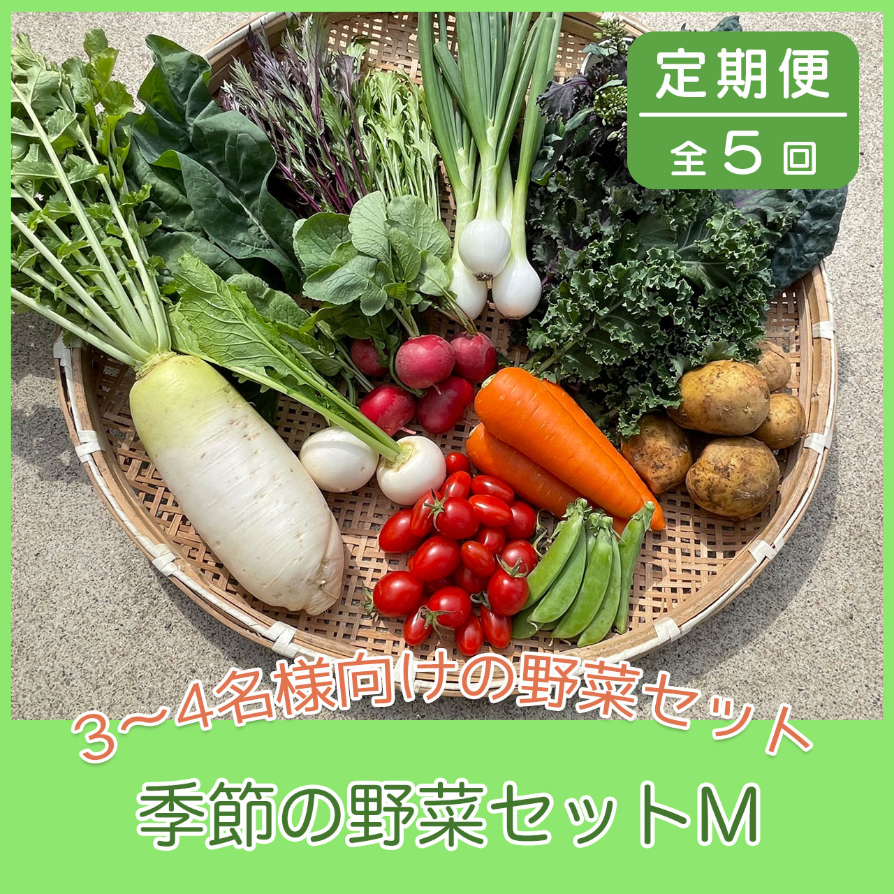 【ふるさと納税】【5ヶ月定期便】京都府綾部市の季節の野菜セットM（3〜4名様分）定期便 季節の野菜 農薬不使用 無農薬 新鮮 野菜 セット 詰め合わせ 京都 綾部 農家直送【送料無料】