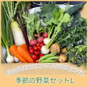 5位! 口コミ数「0件」評価「0」季節の野菜セットL（約6kg）【 国産 旬 季節の野菜 詰め合わせ セット 農薬不使用 無農薬 産地直送 京野菜 京都 綾部 】