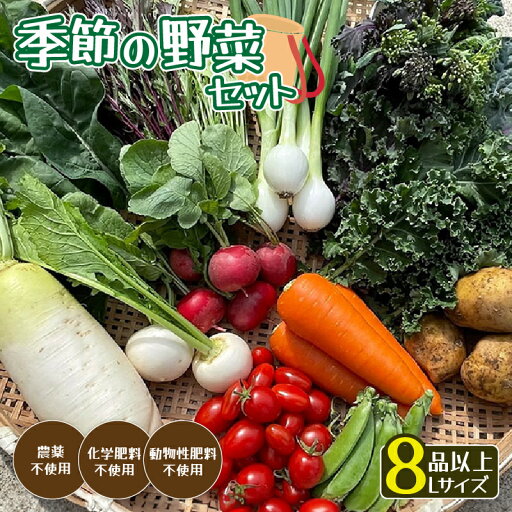 【ふるさと納税】季節の野菜セットL 6〜10種類(約6kg)【 国産 旬 季節の野菜 詰め合わせ セット 農薬不使用 無農薬 産地直送 京野菜 京都 綾部 】 【ふるさと納税】季節の野菜セットL 6〜10種類(約6kg)【 国産 旬 季節の野菜 詰め合わせ セット 農薬不使用 無農薬 産地直送 京野菜 京都 綾部 】
