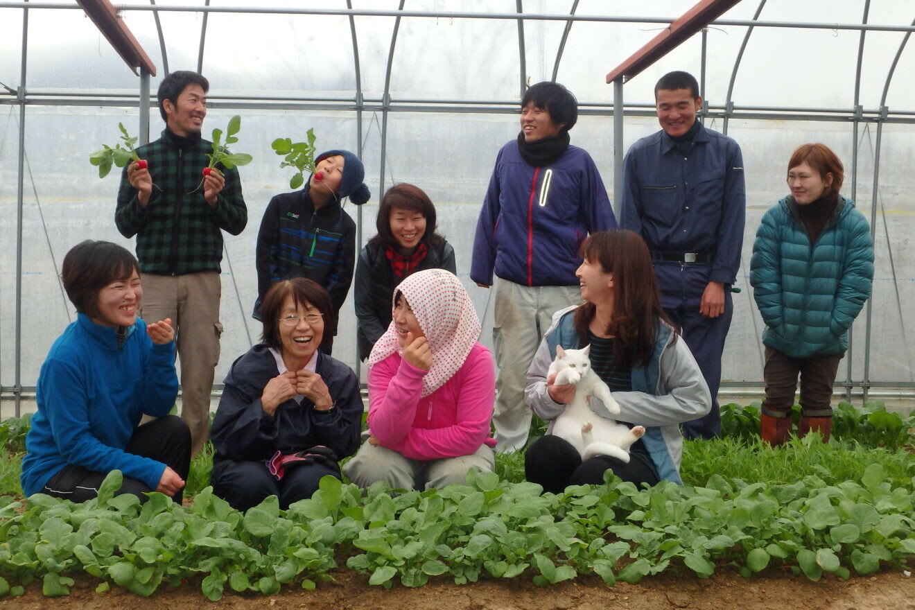 【ふるさと納税】【10ヶ月定期便】季節の野菜セットS（1〜2名様分）定期便 季節の野菜 農薬不使用 無農薬 新鮮 野菜 セット 詰め合わせ 京都 綾部 農家直送【送料無料】