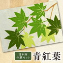 【ふるさと納税】日本画体験キット 青紅葉 日本画 岩絵具 送料無料 CK20