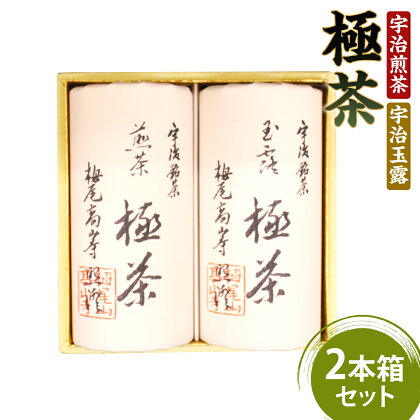 宇治煎茶×宇治玉露 極茶 きわめちゃ 2本箱セット 送料無料 プレゼント 人気 宇治茶 玉露 煎茶 缶入り 緑茶 お茶 高級 日本茶 専門店 お取り寄せ 京都 グリーンティー 茶 老舗茶屋 仏事 法事 自宅用 贈り物 ギフト 贈答 進物 ご挨拶 箱入り AP08