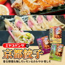 【ふるさと納税】ミヤコパンダの京都餃子3種セット(香る檸檬・梅しそレモン・さわやか青しそ/計45個) 餃子 ギョウザ ご当地餃子 梅しそ餃子 レモン餃子 青じそ餃子 しそ餃子 変わり種餃子 3種セット 食べ比べ 冷凍餃子 国産素材 【uj-CF001-A】【ミヤコパンダ】