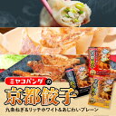 【ふるさと納税】ミヤコパンダの京都餃子3種セット(九条ねぎ・リッチホワイト・あじわいプレーン/計45個) 餃子 ギョウザ ご当地餃子 九条ねぎ 白餃子 にんにく 大黒しめじ プレーン 食べ比べ セット 冷凍餃子 惣菜 おかず 冷凍食品 国産素材 【uj-CF001-B】【ミヤコパンダ】
