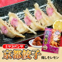 【ふるさと納税】ミヤコパンダの京都餃子(梅しそレモン/15個) 餃子 ギョウザ 京都餃子 ご当地餃子 梅しそ餃子 レモン餃子 赤しそ 梅餃子 梅肉 さっぱり 柑橘系 冷凍餃子 惣菜 おかず おつまみ 時短調理 国産レモン 【uj-CF002-B】【ミヤコパンダ】