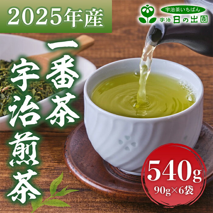 [2025年産]一番茶 宇治煎茶(計540g・90g×6袋) 水出し お茶 宇治茶 緑茶 玉露 煎茶 香り [uj-AG005][宇治日の出園]