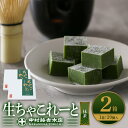 【ふるさと納税】《中村藤吉本店》生ちゃこれーと(抹茶/20個×2箱) チョコレート チョコ 生チョコ 宇治茶 宇治抹茶 抹茶 菓子 スイーツ 【uj-AZ004】【中村藤吉本店】