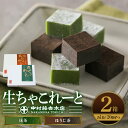 【ふるさと納税】《中村藤吉本店》生ちゃこれーと(抹茶・ほうじ茶/各1箱×20個) 生ちゃこれーと 京都 宇治 詰め合わせ お菓子 スイーツ お土産 デザート おやつ 【uj-AZ008】【中村藤吉本店】