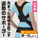 【ふるさと納税】<サイズが選べる!>丸まった背中を起こす姿勢のサポーター(ブラック・M-3L/1個) サポーター 骨盤 肩甲骨 矯正 ベルト 【uj-DB001】【セルヴァン】