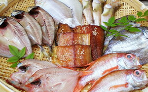 【ふるさと納税】浜文 地魚 一夜干 セット　【魚貝類・加工食品】　お届け：1月20日～12月20日（なくなり次第終了）