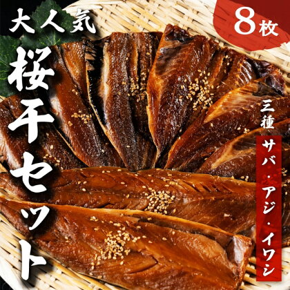 海の京都 大人気 桜干セット 3種8枚 やまいち 桜干 魚貝類 干物 醤油漬け たまり醤油 オリジナル 出汁 京都 日本海 アジ イワシ サバ 魚介 丹後 　【魚貝類・干物】