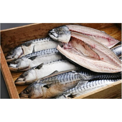 橋立やまいち旨みたっぷりふっくら自慢の塩サバ 魚貝類 加工食品 鯖 さば 冷凍 冷蔵　【魚貝類・加工食品】