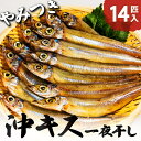 【ふるさと納税】ふっくら柔らかい沖キスの一夜干し 14匹入 日本海 沖キス キス 一夜干し 干物 魚 ひもの おつまみ 日本酒 肴 珍味 ご..