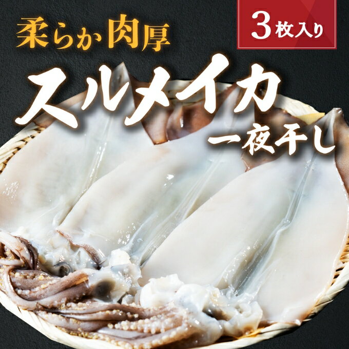 3位! 口コミ数「5件」評価「4.6」柔らか肉厚のスルメイカ一夜干し 3枚 魚貝類 イカ いか スルメイカ お酒 つまみ 特大 新鮮 保存 冷凍 国産 送料無料 酒の肴 酒のつま･･･ 