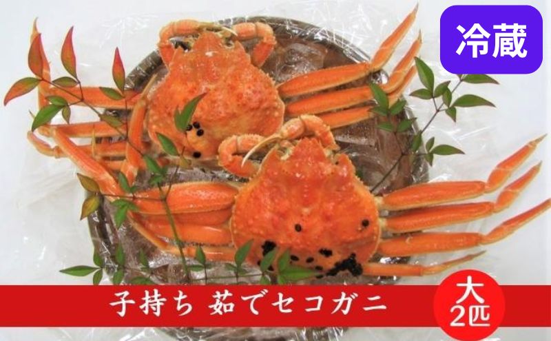 【ふるさと納税】国産 子持ち 茹で セコガニ 大サイズ 2杯セット(冷蔵) カニ 蟹 かに 　お届け：2025年12月末まで