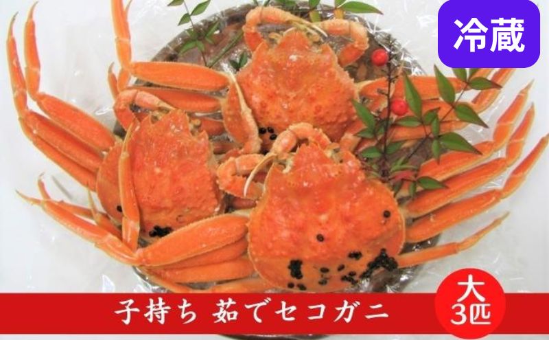 【ふるさと納税】国産 子持ち 茹で セコガニ 大サイズ 3杯セット(冷蔵) カニ 蟹 かに 　お届け：2025年12月末まで