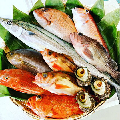 京都府宮津市産『朝どれ！山一鮮魚おおきに便』約4?5kg 魚介類 セット 産地直送 鮮魚 内臓処理加 鮮度抜群 冷蔵 詰め合わせ 旬 鯛 とり貝 鰤 はたはた 牡蠣 蟹 イカ 烏賊 カレイ サザエ ヒラメ あんこう お刺身 焼き魚 煮付け　【魚介類・セット】