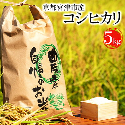 【ふるさと納税】令和5年産 京都宮津市産コシヒカリ 5kg お米 白米 精米 コシヒカリ 5キロ 送料無料 ギフト ごはん ご飯 おにぎり お弁..