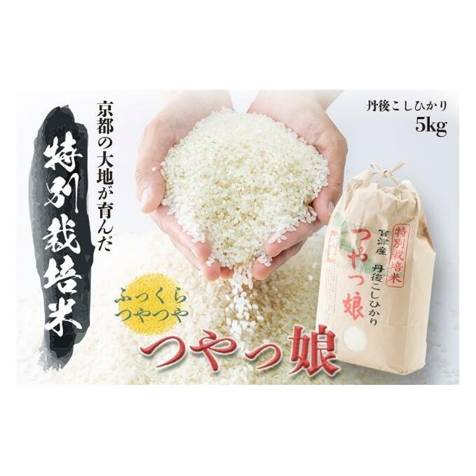 【ふるさと納税】令和5年産 特別栽培米つやっ娘米 5kg 丹