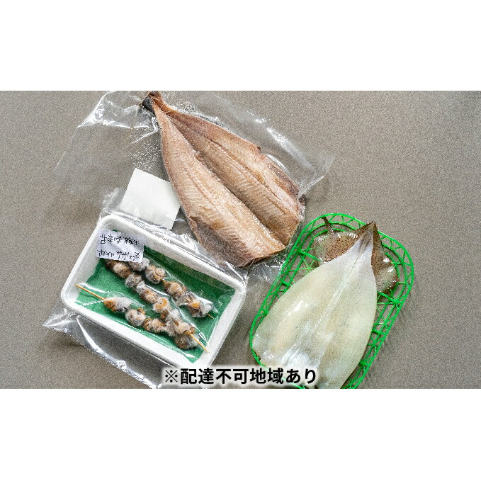 京都・天橋立 海鮮3種詰め合わせセット 特大ホッケ サザエ串 イカ一夜干し [魚貝類・干物・ホッケ・サザエ・イカ]