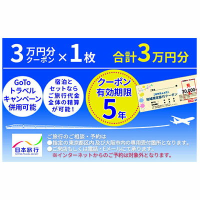 11位! 口コミ数「0件」評価「0」日本旅行　宮津市地域限定旅行クーポン【30，000円分】　【旅行・チケット・旅行・宿泊券】