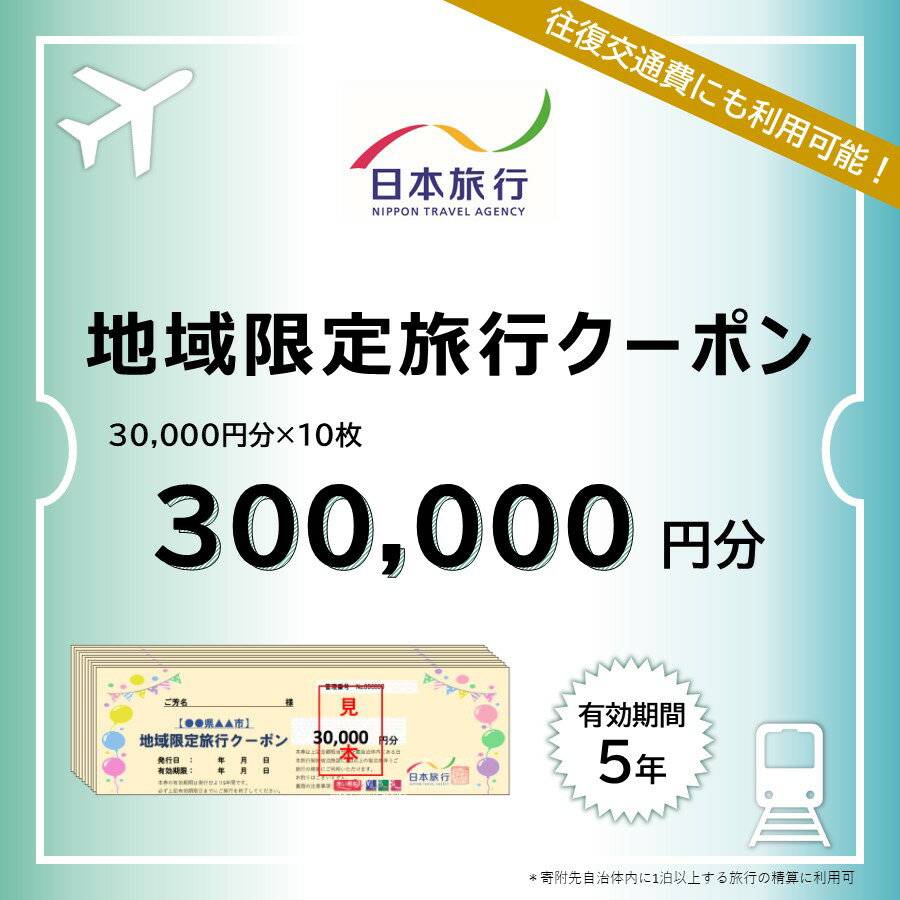 【ふるさと納税】日本旅行　宮津市地域限定旅行クーポン【300，000円分】　【旅行・チケット・旅行・宿..