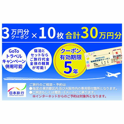 日本旅行　宮津市地域限定旅行クーポン【300，000円分】　【旅行・チケット・旅行・宿泊券】