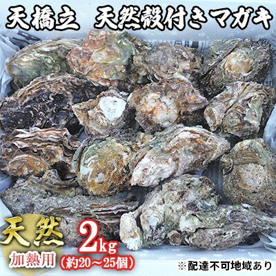 【ふるさと納税】天橋立 天然殻付きマガキ 2kg（約20～25個）【加熱用】[ 牡蠣 カキ 真牡蠣 天然 ]　【魚貝類・生牡蠣・かき・濃厚・焼き・蒸し】　お届け：2023年2月中旬～2023年4月中旬のサムネイル