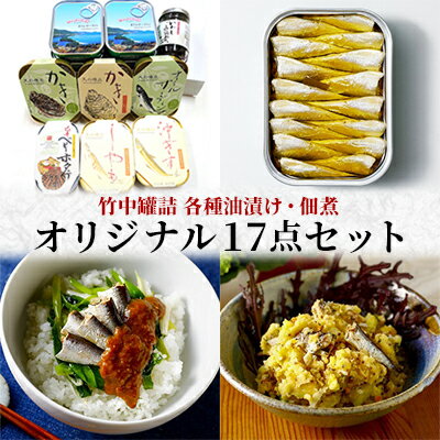 竹中罐詰 オリジナルセット 17点詰め合わせ オイルサーディン 加工食品 魚貝類 オリジナルセット 詰め合わせ 缶詰 佃煮 いわし 牡蠣 沖ぎす 子持ちししゃも ホタテ 帆立 燻製 かき いわし 国産 酒の肴 酒のつまみ 家飲み 人気返礼品 [宮津市]